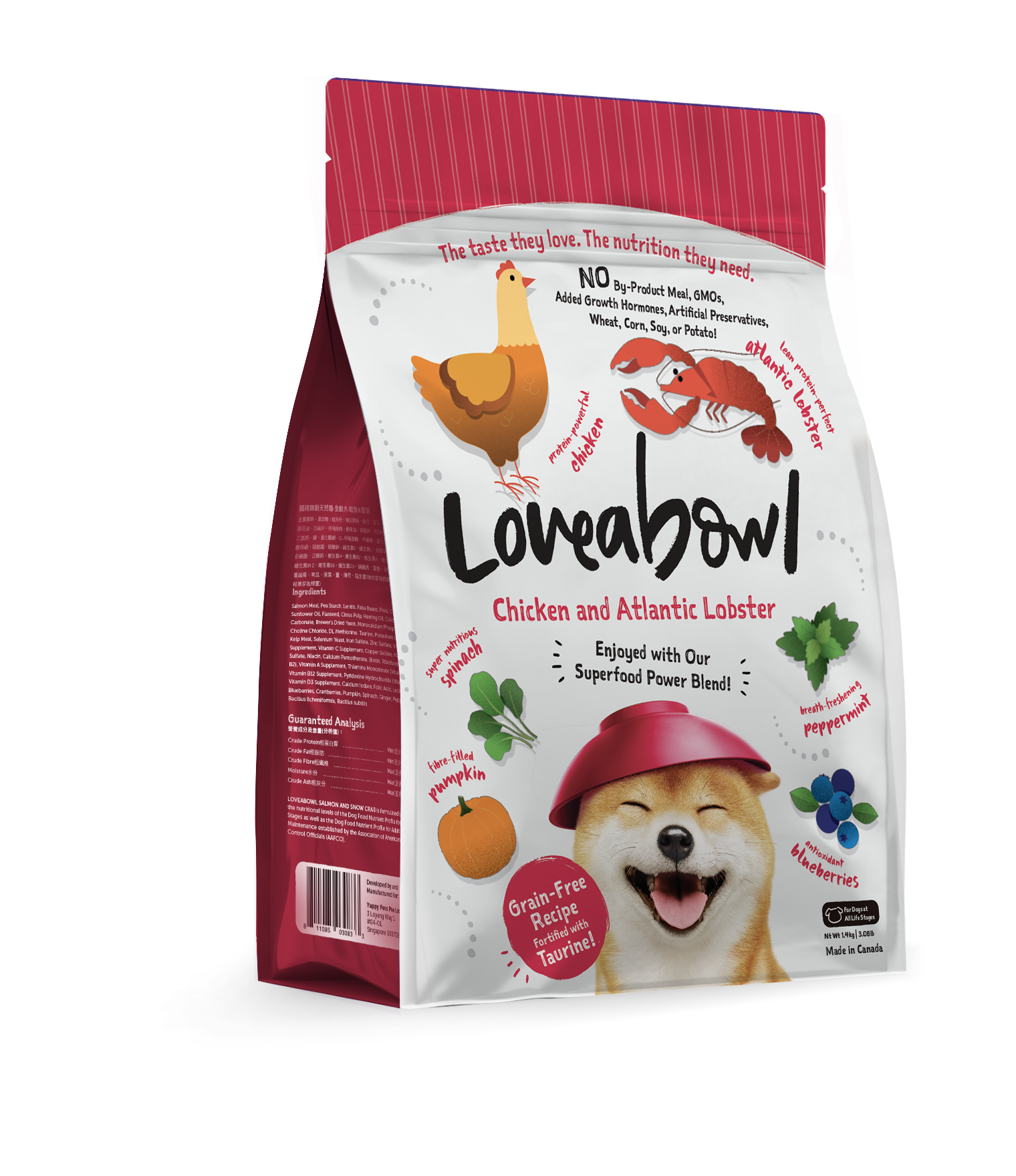 Best Pet Groomer
